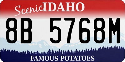 ID license plate 8B5768M