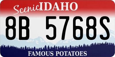 ID license plate 8B5768S