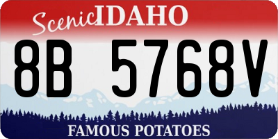 ID license plate 8B5768V