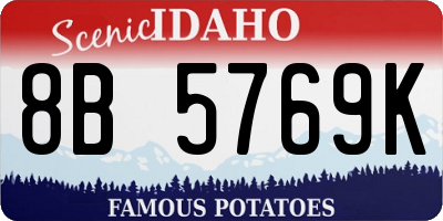 ID license plate 8B5769K