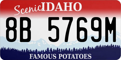 ID license plate 8B5769M