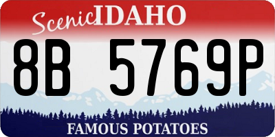 ID license plate 8B5769P