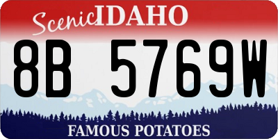 ID license plate 8B5769W