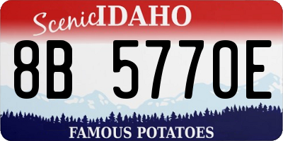 ID license plate 8B5770E
