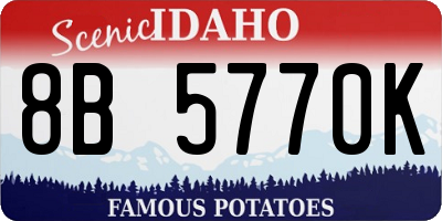 ID license plate 8B5770K
