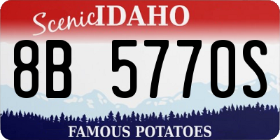 ID license plate 8B5770S