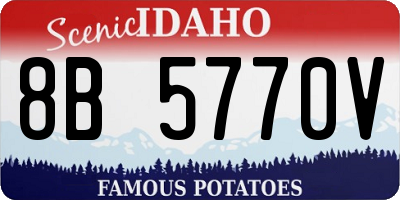 ID license plate 8B5770V