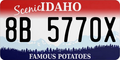 ID license plate 8B5770X
