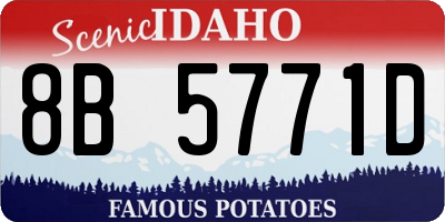 ID license plate 8B5771D