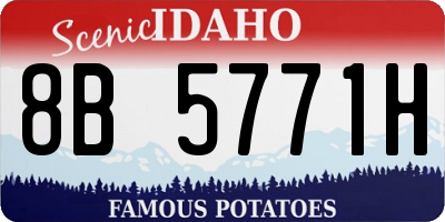 ID license plate 8B5771H
