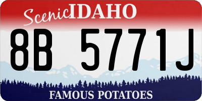 ID license plate 8B5771J