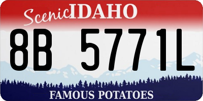 ID license plate 8B5771L