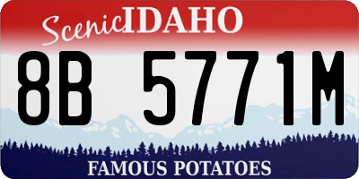 ID license plate 8B5771M