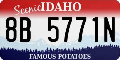 ID license plate 8B5771N