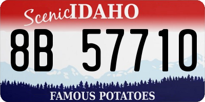 ID license plate 8B5771O