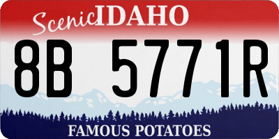 ID license plate 8B5771R