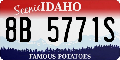 ID license plate 8B5771S