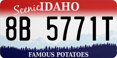 ID license plate 8B5771T