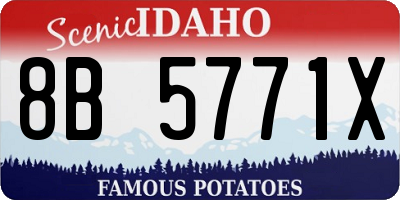 ID license plate 8B5771X