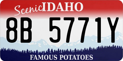 ID license plate 8B5771Y