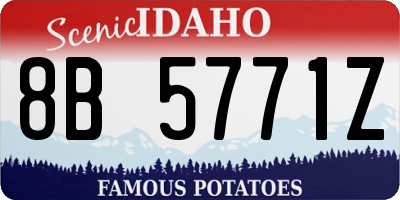 ID license plate 8B5771Z