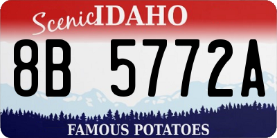 ID license plate 8B5772A