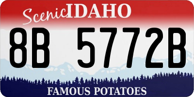 ID license plate 8B5772B