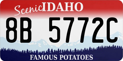 ID license plate 8B5772C