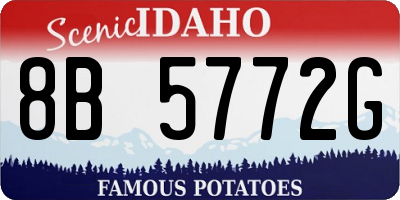 ID license plate 8B5772G