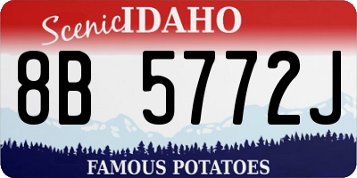 ID license plate 8B5772J