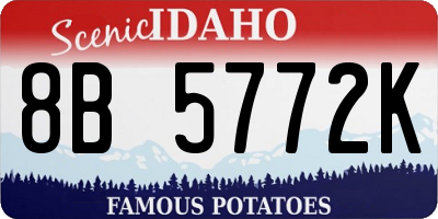ID license plate 8B5772K