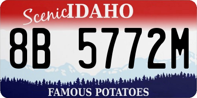 ID license plate 8B5772M