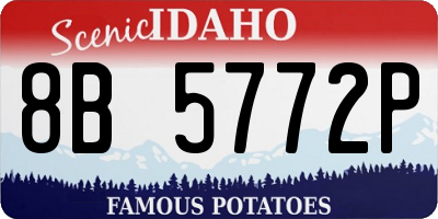 ID license plate 8B5772P