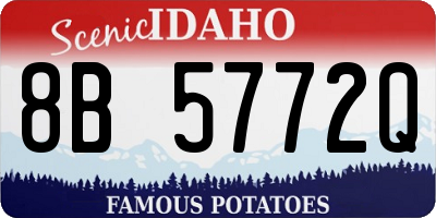 ID license plate 8B5772Q