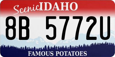 ID license plate 8B5772U
