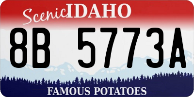 ID license plate 8B5773A