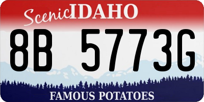 ID license plate 8B5773G