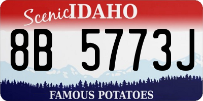 ID license plate 8B5773J