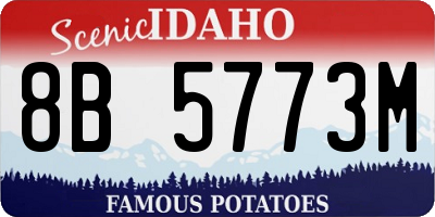 ID license plate 8B5773M