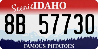 ID license plate 8B5773O