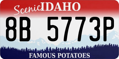 ID license plate 8B5773P