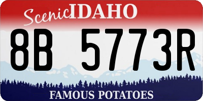 ID license plate 8B5773R