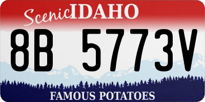 ID license plate 8B5773V