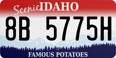 ID license plate 8B5775H