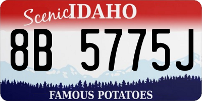 ID license plate 8B5775J