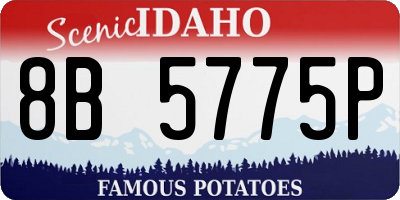 ID license plate 8B5775P