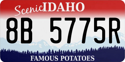 ID license plate 8B5775R