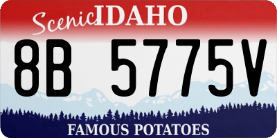 ID license plate 8B5775V