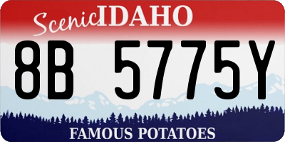 ID license plate 8B5775Y