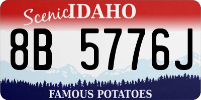 ID license plate 8B5776J